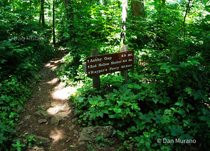 Trails are well marked and maintained, but be sure to have a map.