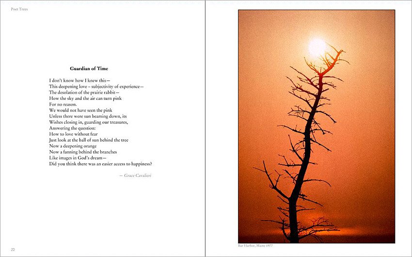 Poet Trees sample pages
