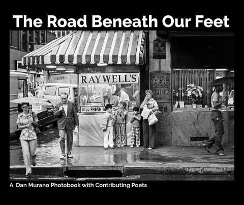 The Road Beneath Our Feet - softcover